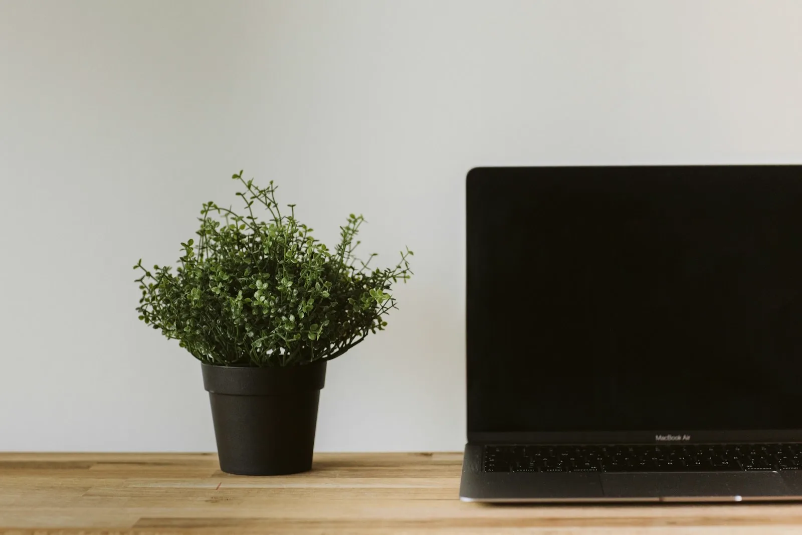 Laptop and plant on a clean desk, ready for ongoing site care and support